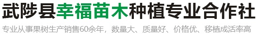 爱游戏官网推荐