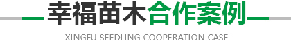 爱游戏官网推荐