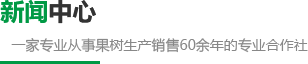 爱游戏官网入口