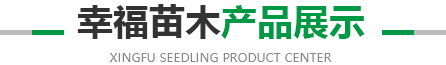 爱游戏官网推荐